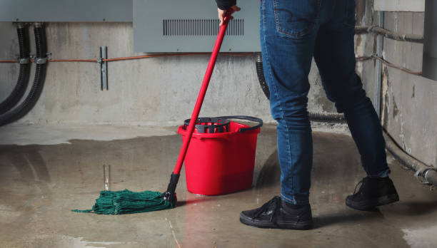 Best Water damage restoration insurance claims  in Lexico, CA