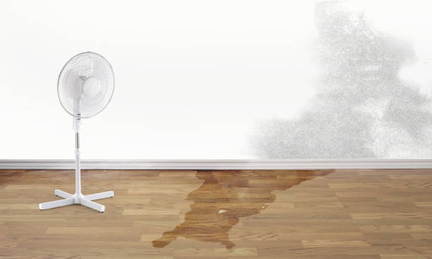 Best 24/7 water damage repair  in Lexico, CA