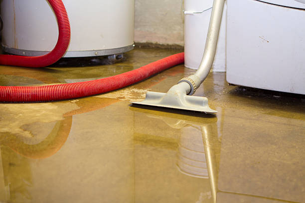 Best Fire Damage Restoration  in Lexico, CA