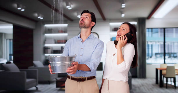 Best Water damage cleanup near me  in Lexico, CA